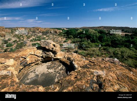 La Bataille de Manzimbeni: Une confrontation épique entre le Royaume du Mapungubwe et l'empire Rozwi.